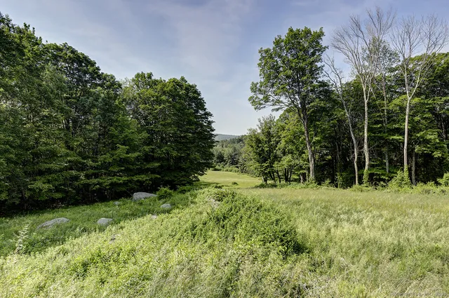 a view of a green field with lots of bushes