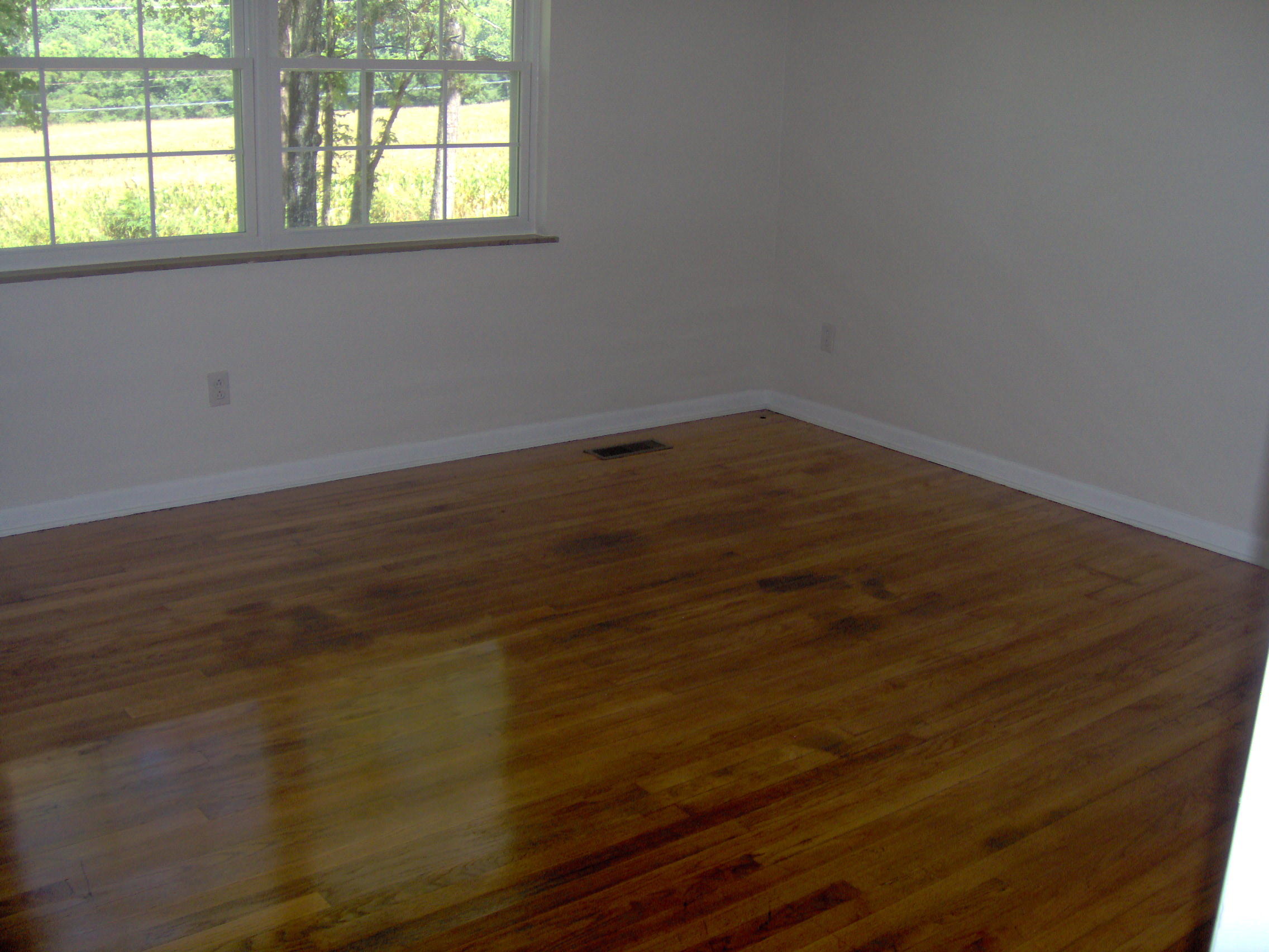 207 Jackson Road Rutledge, TN 37861 - Photo 7 of 9 004