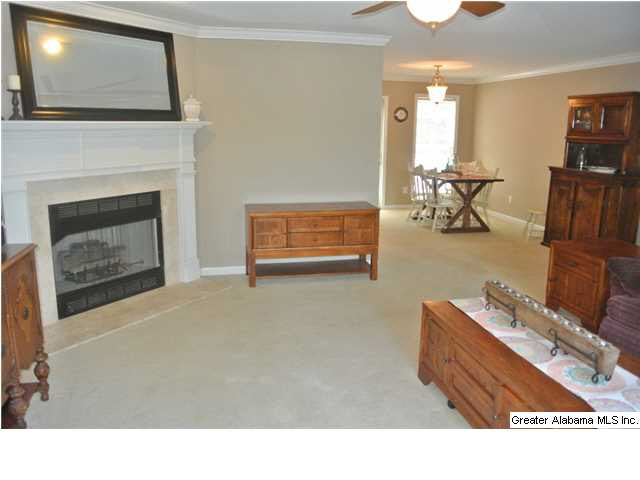 643 Murphrees Valley Road Springville, AL 35146 - Photo 19 of 32