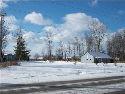 265 Edmore Road Edmore, MI 48829 - Photo 3 of 11 Additional Photo