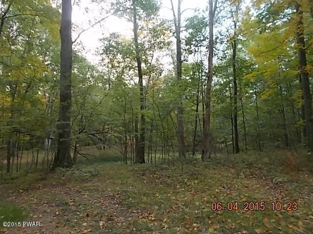 Lot 22 Sec B Milford Road Bushkill, PA 18324 - Photo 4 of 5