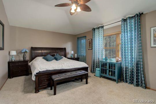 9861 South Spring Hill Place Highlands Ranch, CO 80129 - Photo 19 of 38 Gallery Image 19