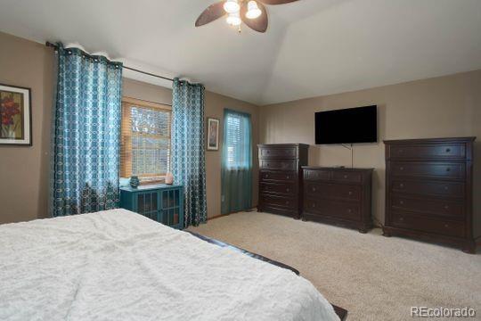 9861 South Spring Hill Place Highlands Ranch, CO 80129 - Photo 20 of 38 Gallery Image 20