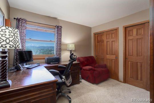 9861 South Spring Hill Place Highlands Ranch, CO 80129 - Photo 21 of 38 Gallery Image 21