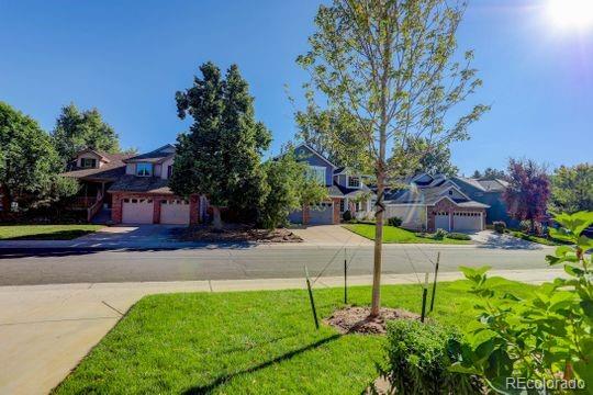 9861 South Spring Hill Place Highlands Ranch, CO 80129 - Photo 9 of 38 Gallery Image 9