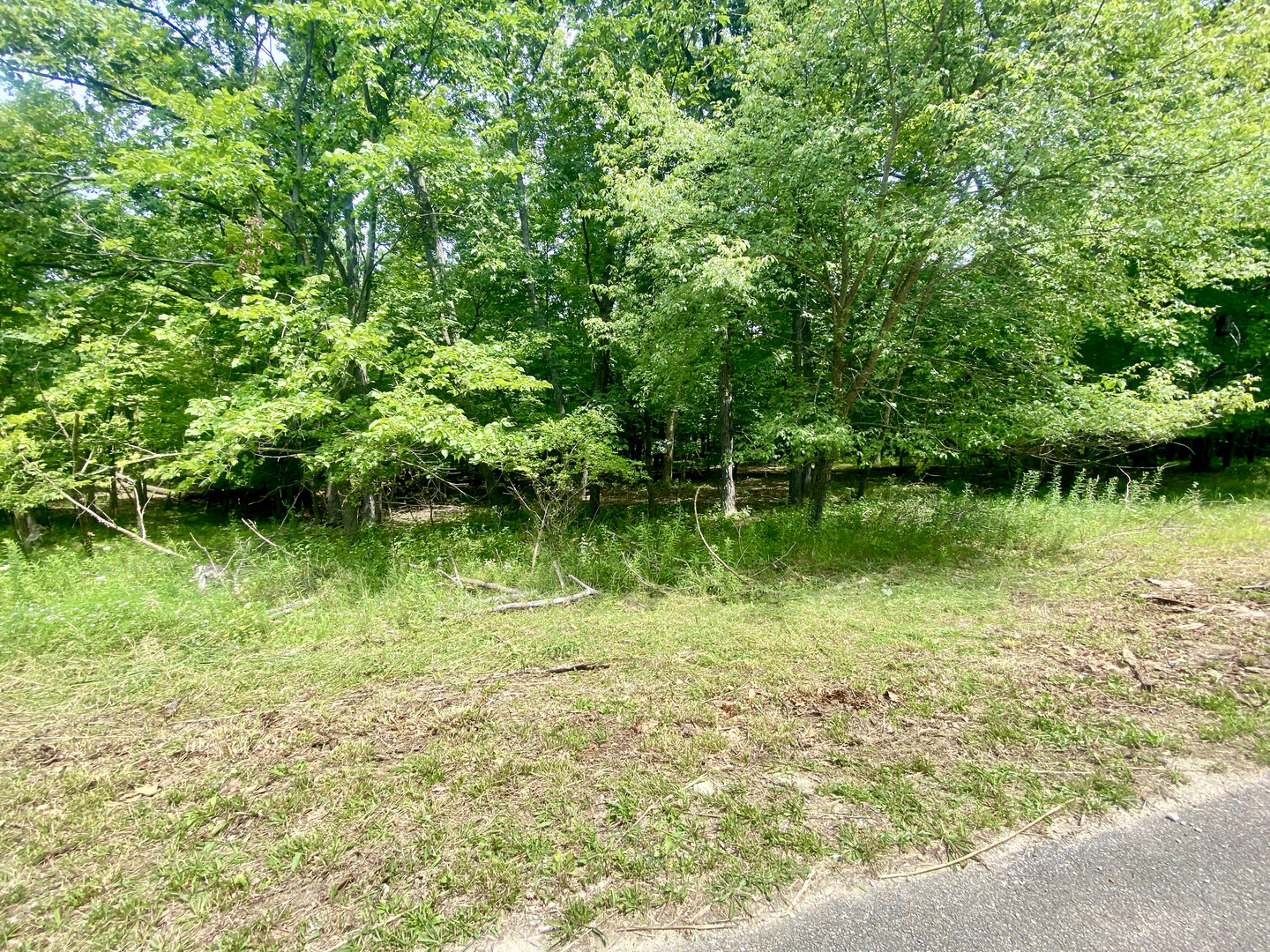 Lot 55 Eagle Chase Drive Seneca, IL 61360 - Photo 2 of 6 a view of a lake view