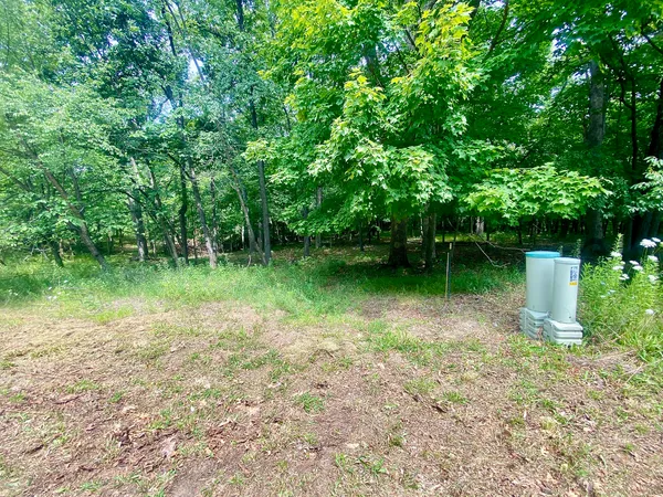 $38,000 | Lot 55 Eagle Chase Drive, Seneca, IL 61360