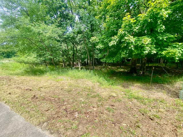 $48,000 | Lot 55 Eagle Chase Drive, Seneca, IL 61360