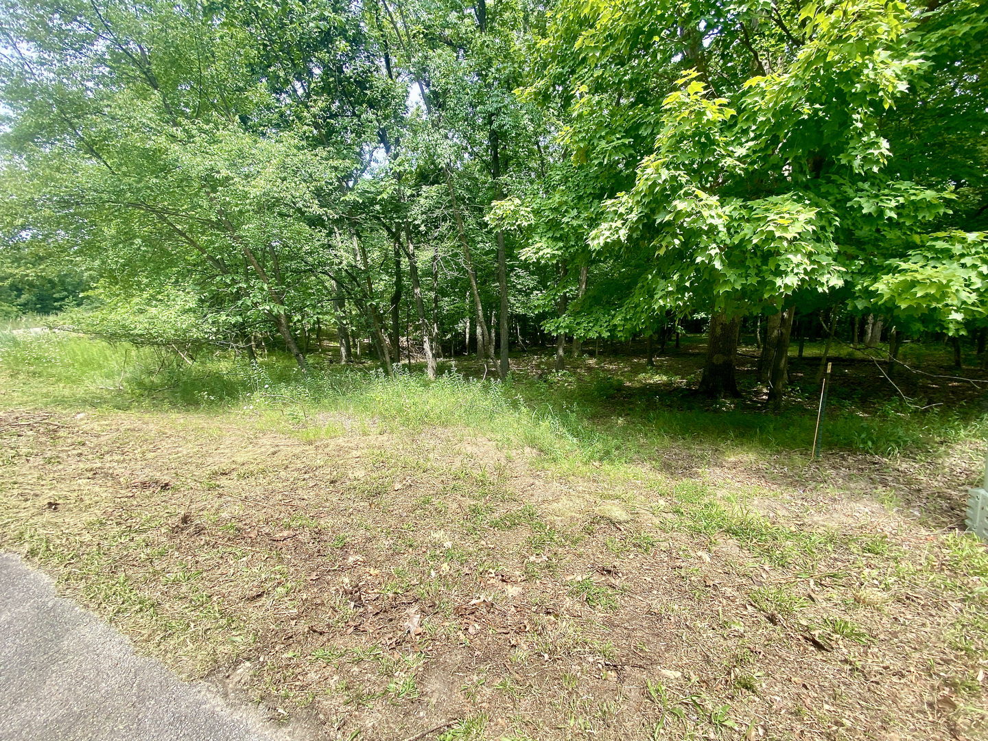 Lot 55 Eagle Chase Drive Seneca, IL 61360 - Photo 6 of 6 a view of a lake view