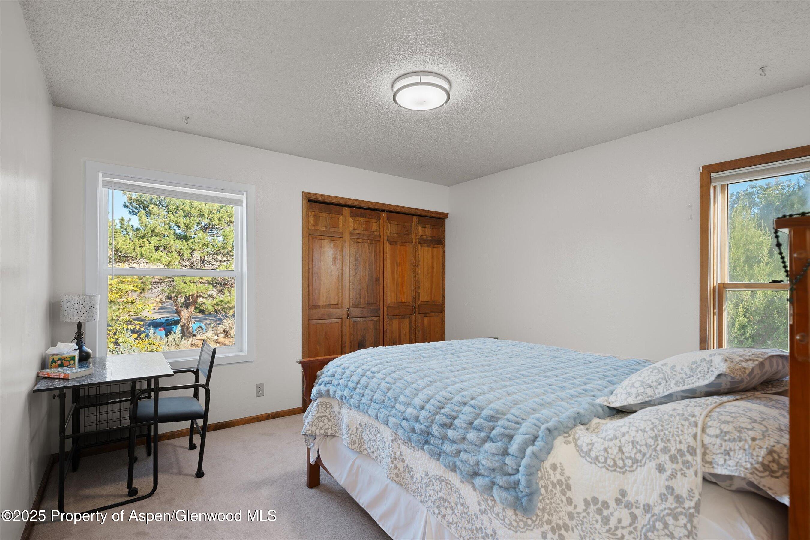 586 Mesa Avenue Rifle, CO 81650 - Photo 19 of 39 21-586MesaAve_25101621