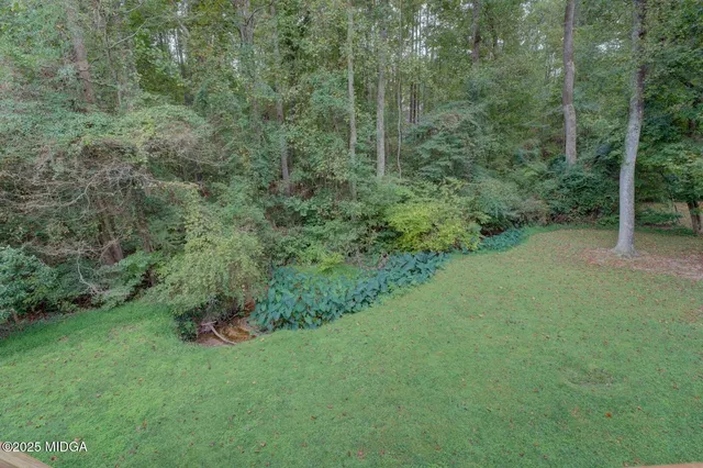 a view of a green field with lots of bushes