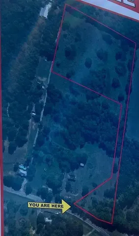 a view of a dry yard