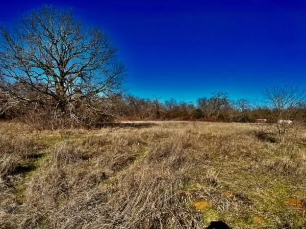 a view of a yard