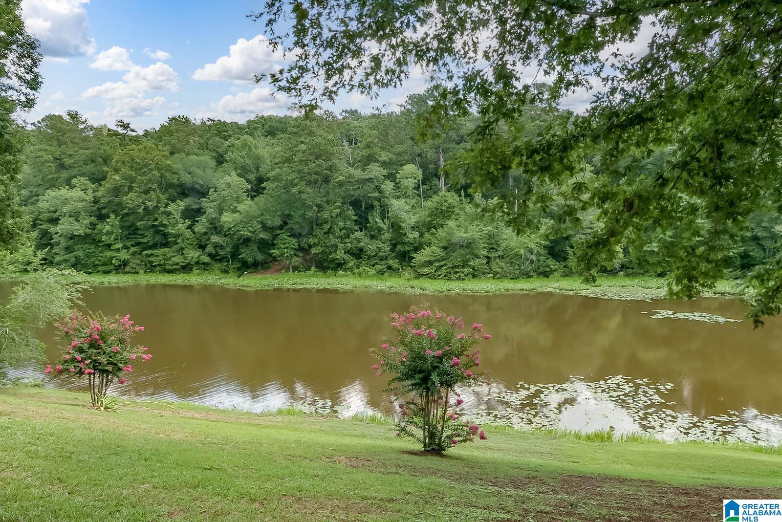 14745 Paul Howell Road Northport, AL 35475 - Photo 43 of 49