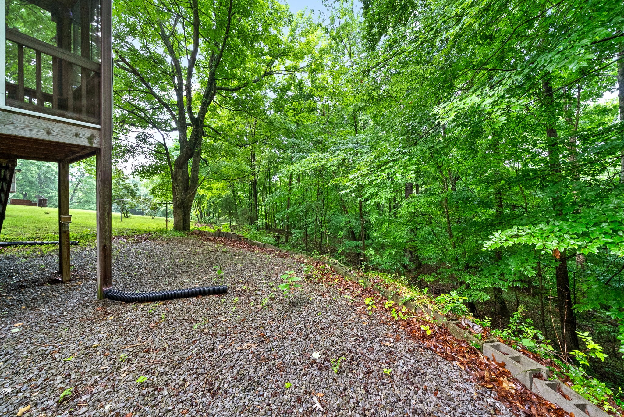 3750 Reed Road Indian Mound, TN 37079 - Photo 28 of 49 Gallery Image 28