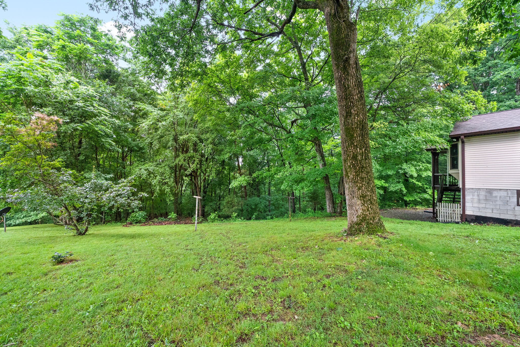3750 Reed Road Indian Mound, TN 37079 - Photo 33 of 49 Gallery Image 33