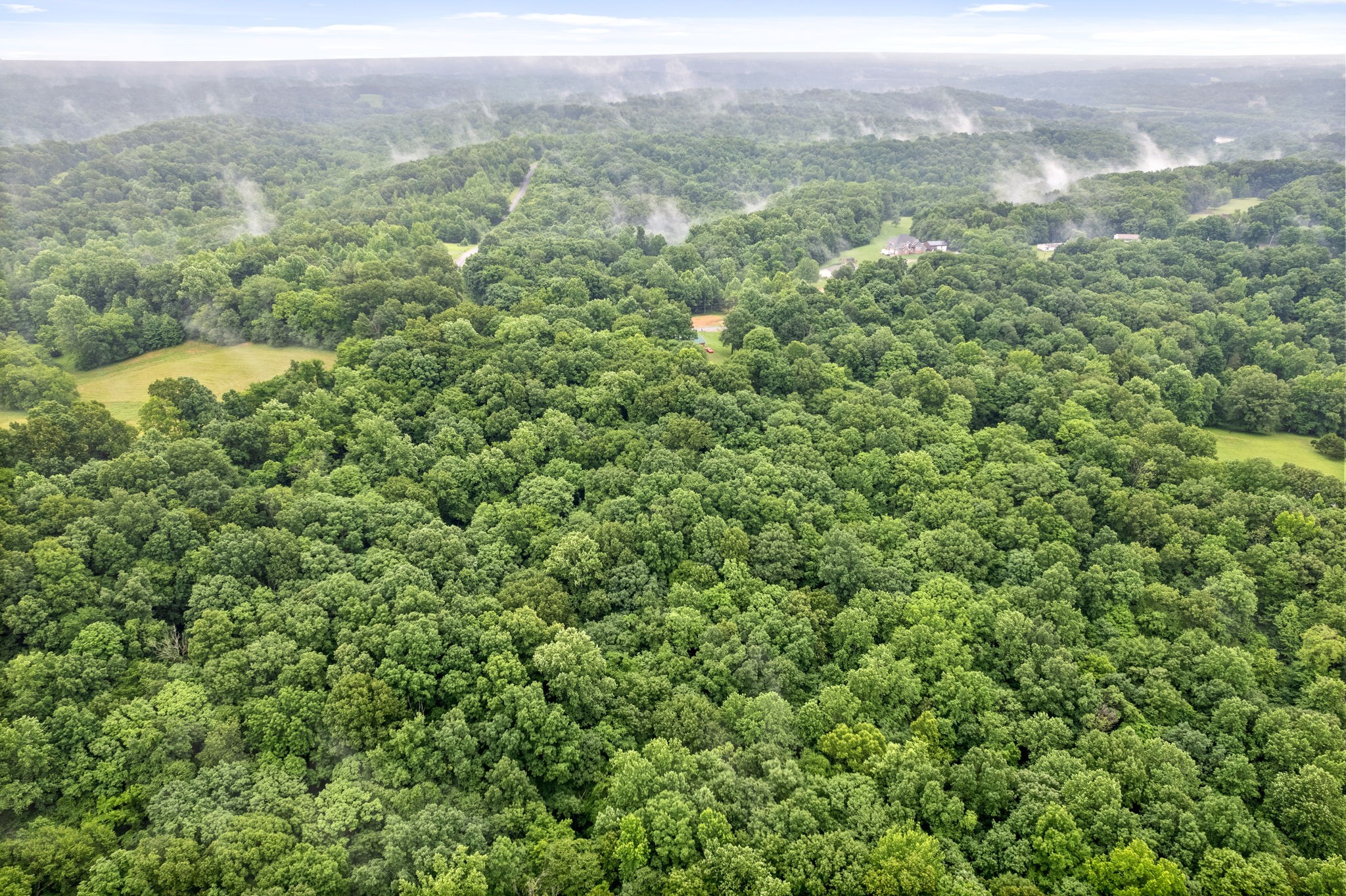3750 Reed Road Indian Mound, TN 37079 - Photo 41 of 49 Gallery Image 41