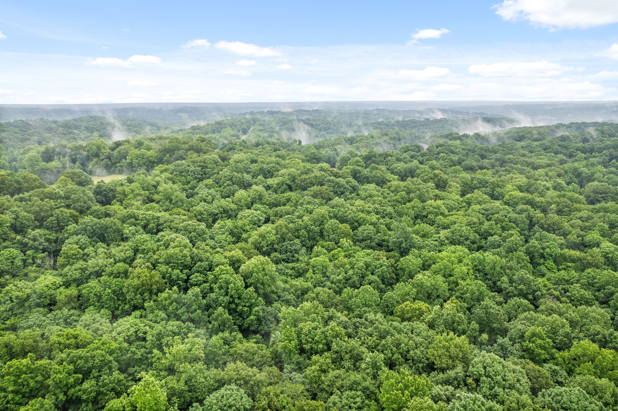 3750 Reed Road Indian Mound, TN 37079 - Photo 42 of 49 Gallery Image 42