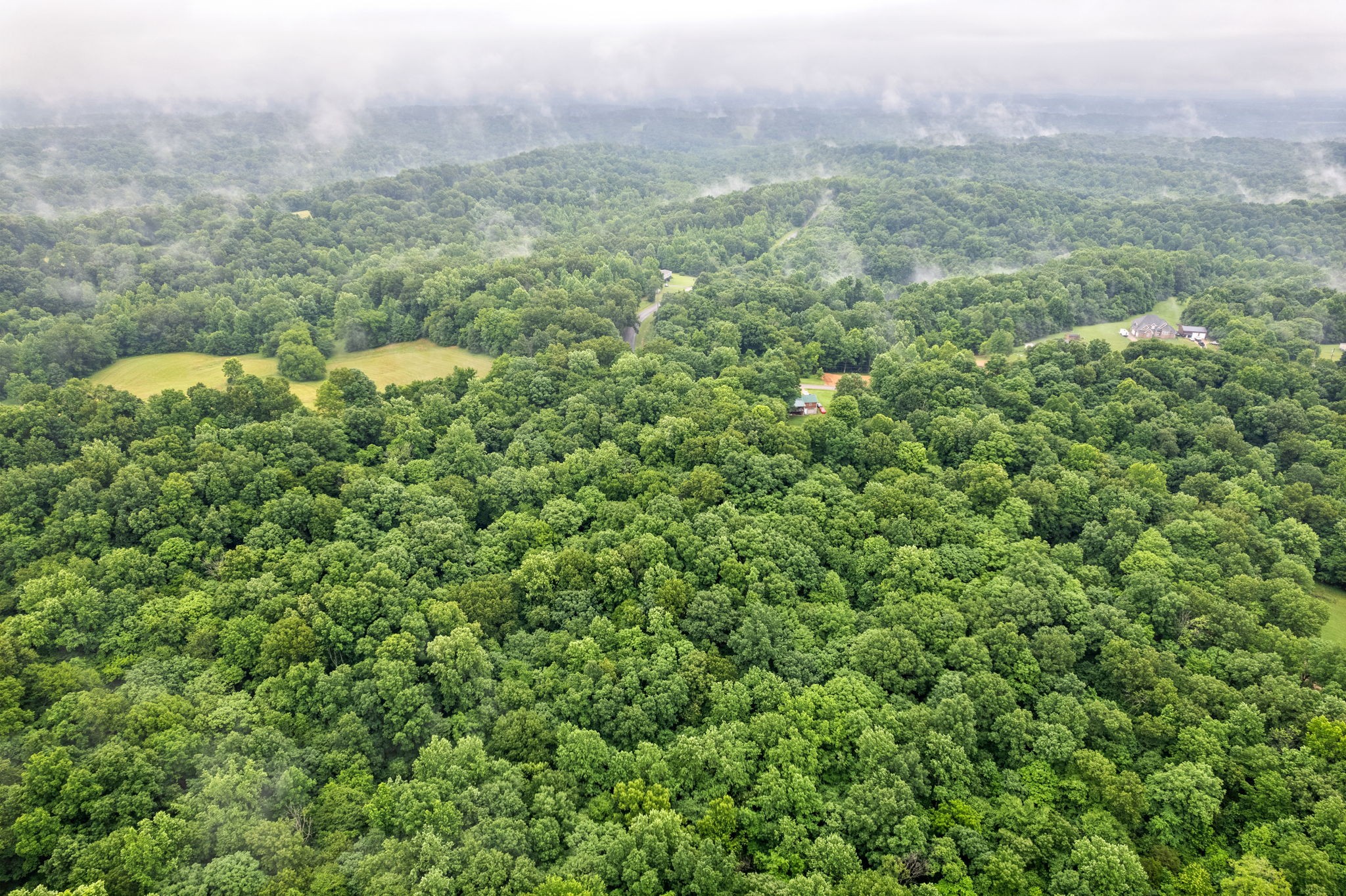 3750 Reed Road Indian Mound, TN 37079 - Photo 43 of 49 Gallery Image 43