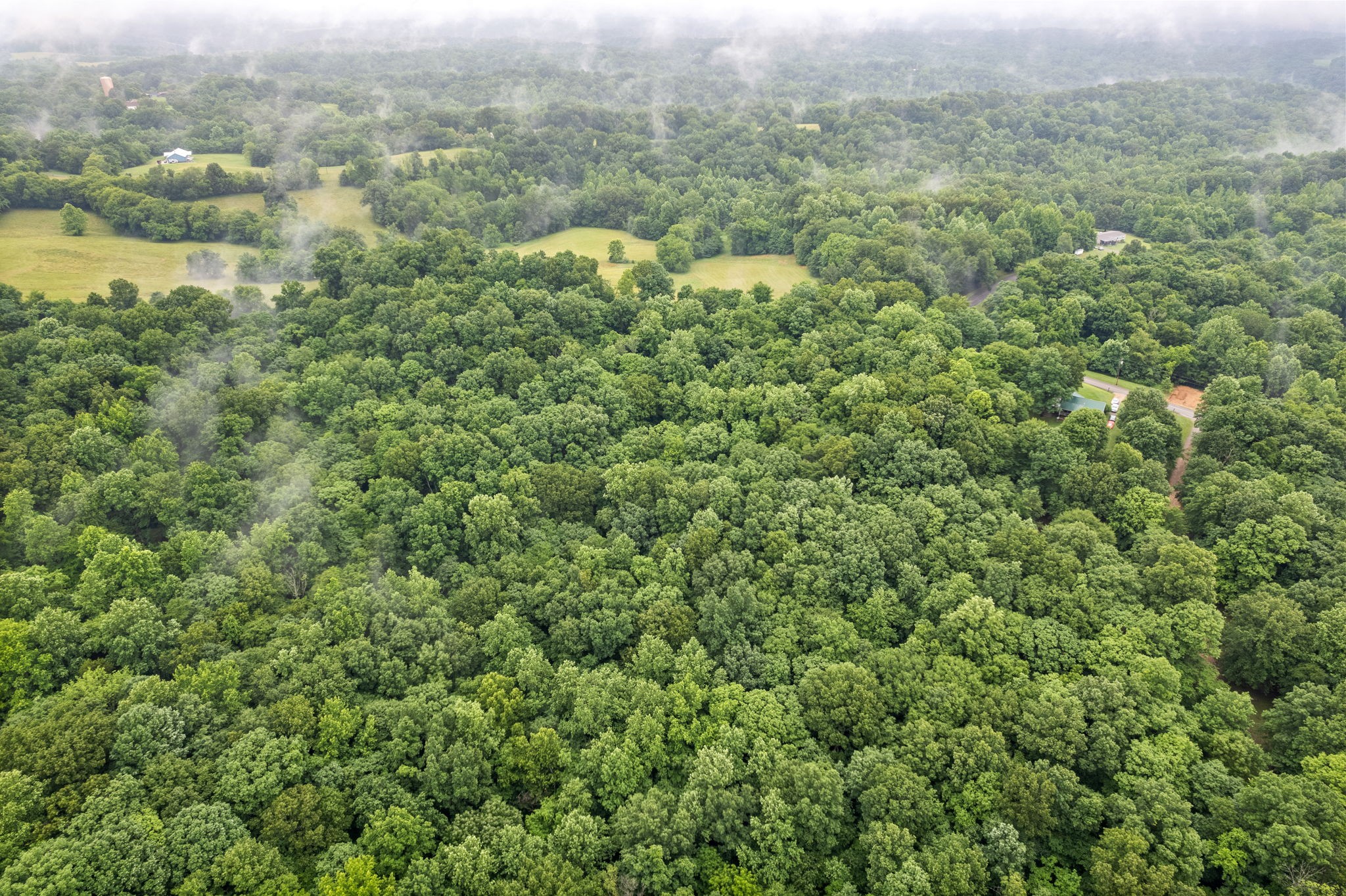 3750 Reed Road Indian Mound, TN 37079 - Photo 45 of 49 Gallery Image 45