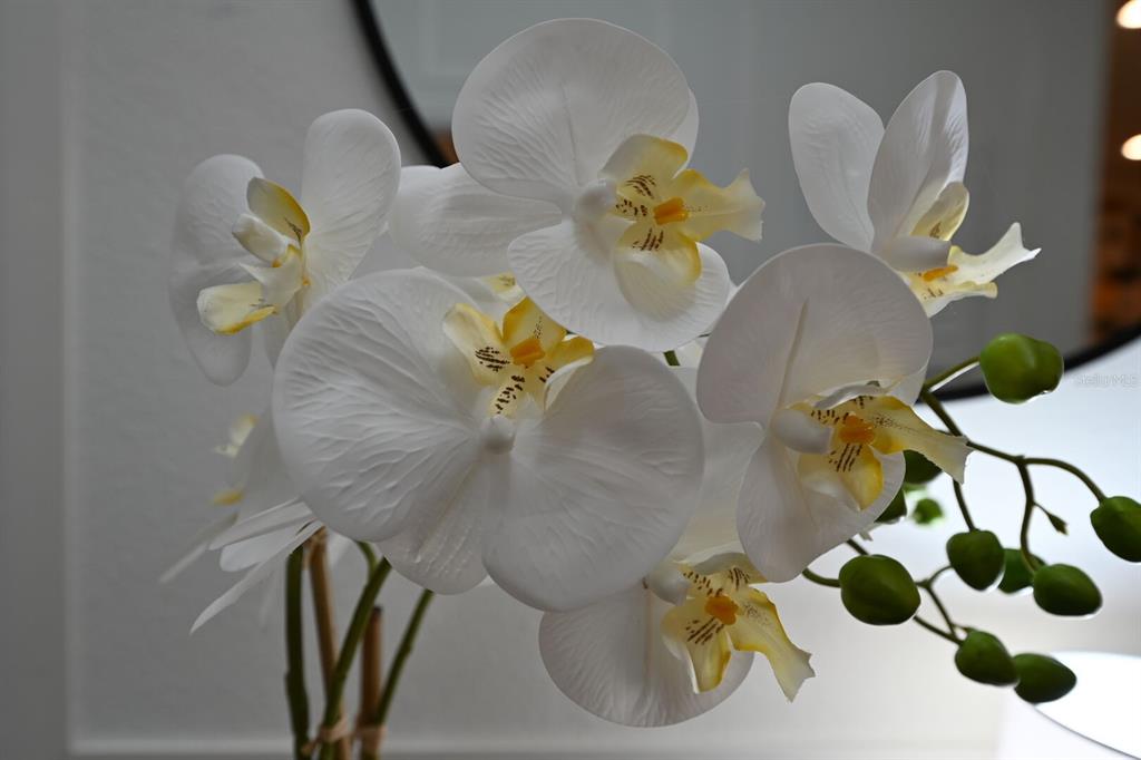 2956 Penelope Loop Kissimmee, FL 34746 - Photo 22 of 94 a bathroom with a sink mirror and vanity
