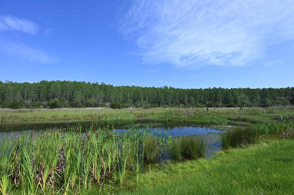2956 Penelope Loop Kissimmee, FL 34746 - Photo 81 of 94 a view of a lake view with a big yard and mountain view