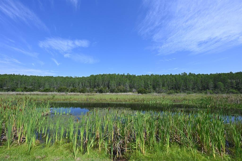 2956 Penelope Loop Kissimmee, FL 34746 - Photo 82 of 94