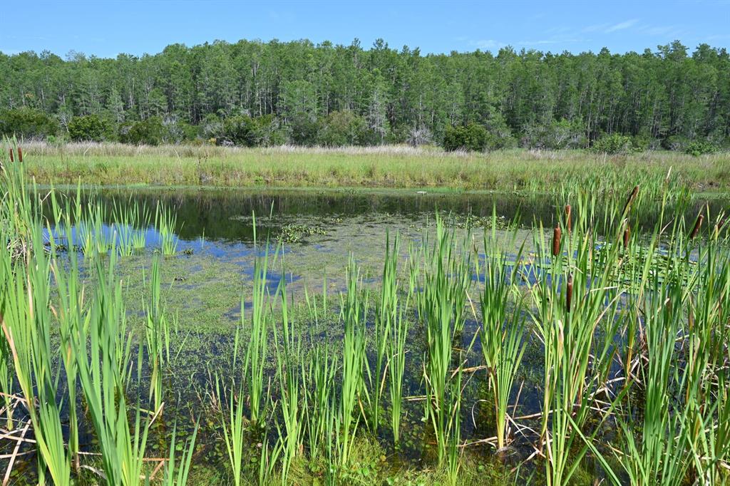 2956 Penelope Loop Kissimmee, FL 34746 - Photo 83 of 94