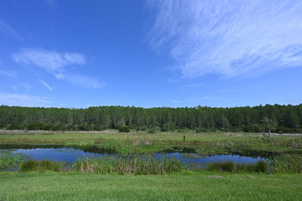 2956 Penelope Loop Kissimmee, FL 34746 - Photo 84 of 94