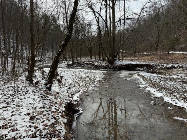 1 Spruce Run Poca, WV 25159 - Photo 10 of 38 Gallery Image 10