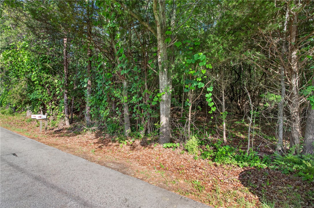 0 Barnes Road Seneca, SC 29672 - Photo 6 of 16 Mature trees and lush undergrowth define this private, undeveloped lot.