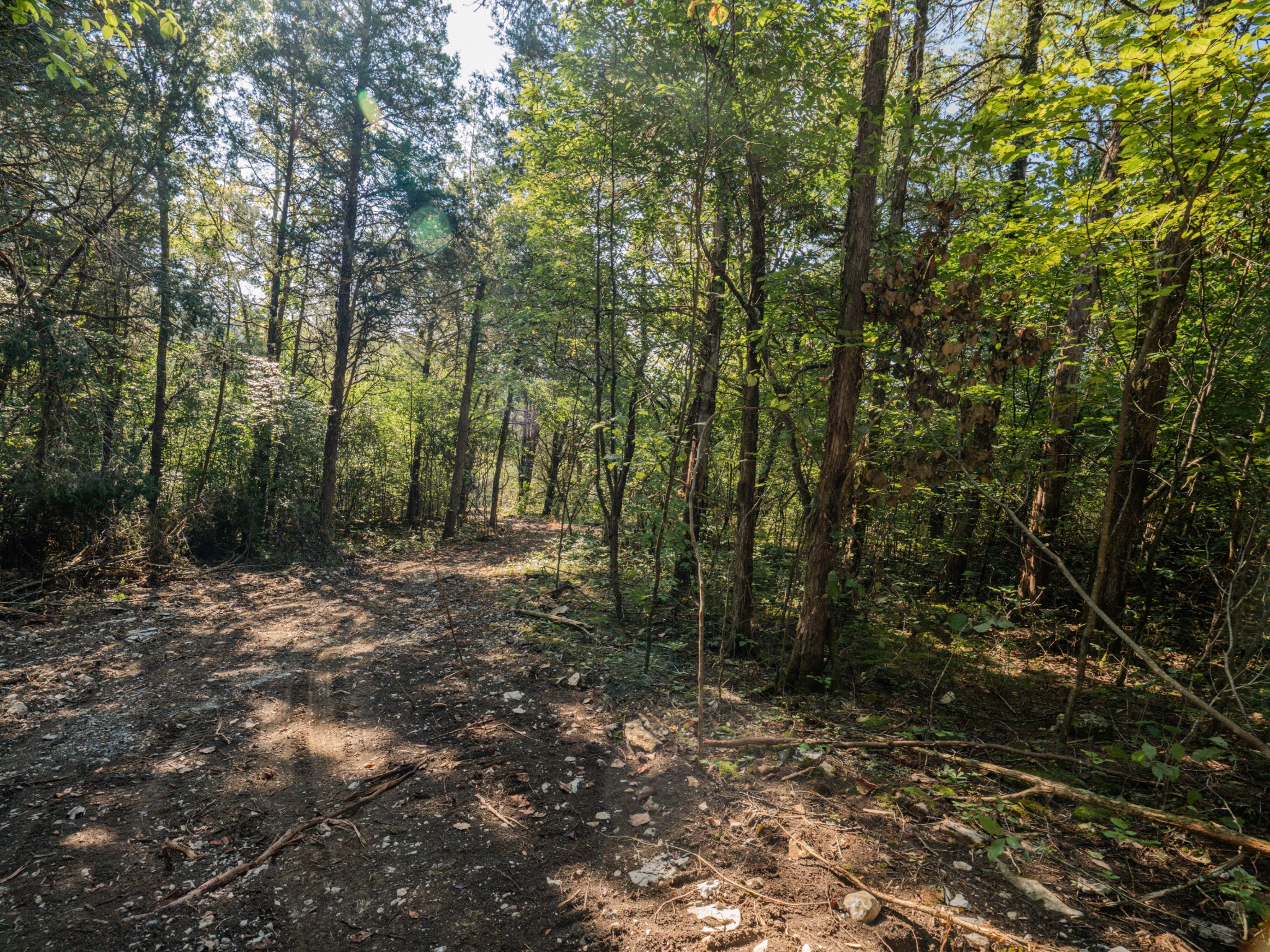 3644 Diana Ridge Road Pulaski, TN 38478 - Photo 22 of 45 Gallery Image 22