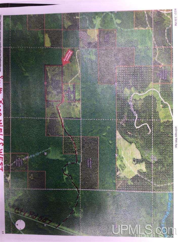 Tbd Off Of Co Rd 557, Unit 1 Arnold, MI 49819 - Photo 13 of 16