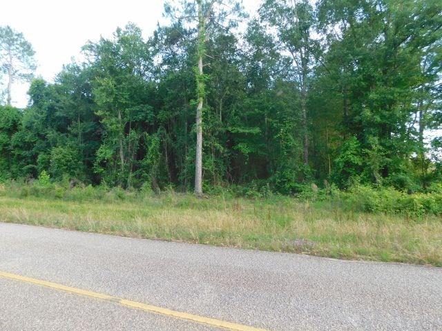 61200-blk Milstead Road Atmore, AL 36502 - Photo 1 of 18
