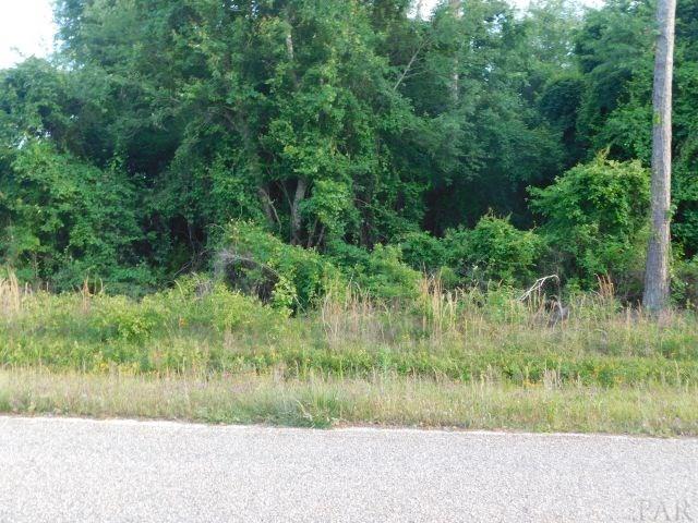 61200-blk Milstead Road Atmore, AL 36502 - Photo 11 of 18