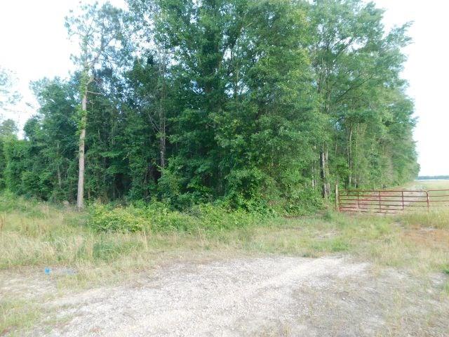 61200-blk Milstead Road Atmore, AL 36502 - Photo 2 of 18