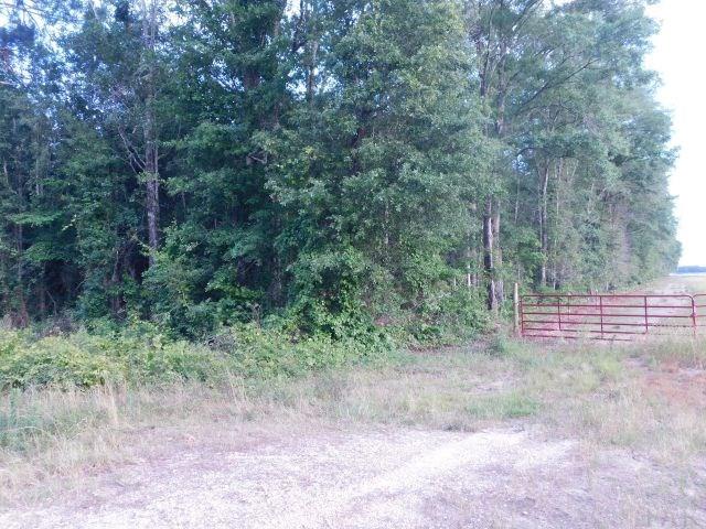 61200-blk Milstead Road Atmore, AL 36502 - Photo 3 of 18