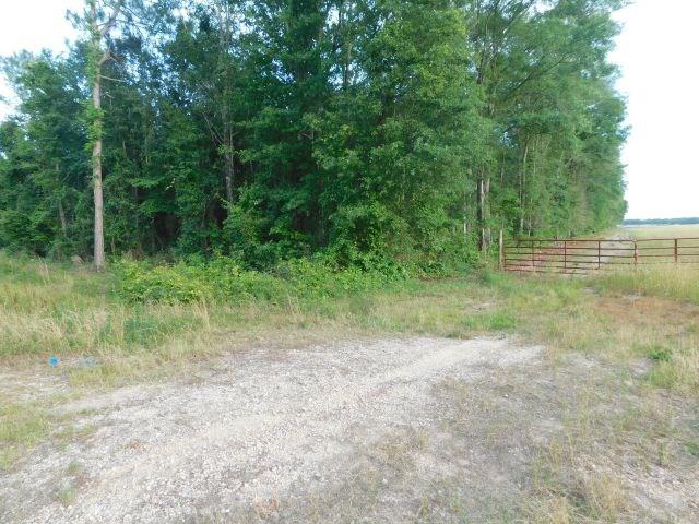 61200-blk Milstead Road Atmore, AL 36502 - Photo 4 of 18
