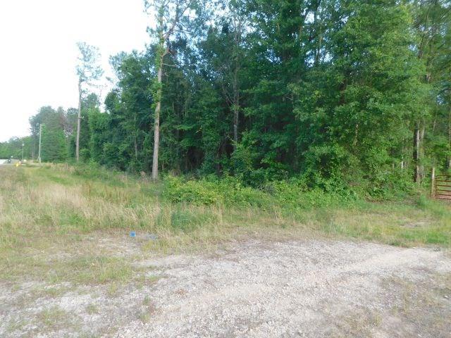 61200-blk Milstead Road Atmore, AL 36502 - Photo 6 of 18