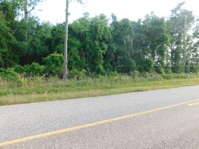 61200-blk Milstead Road Atmore, AL 36502 - Photo 7 of 18