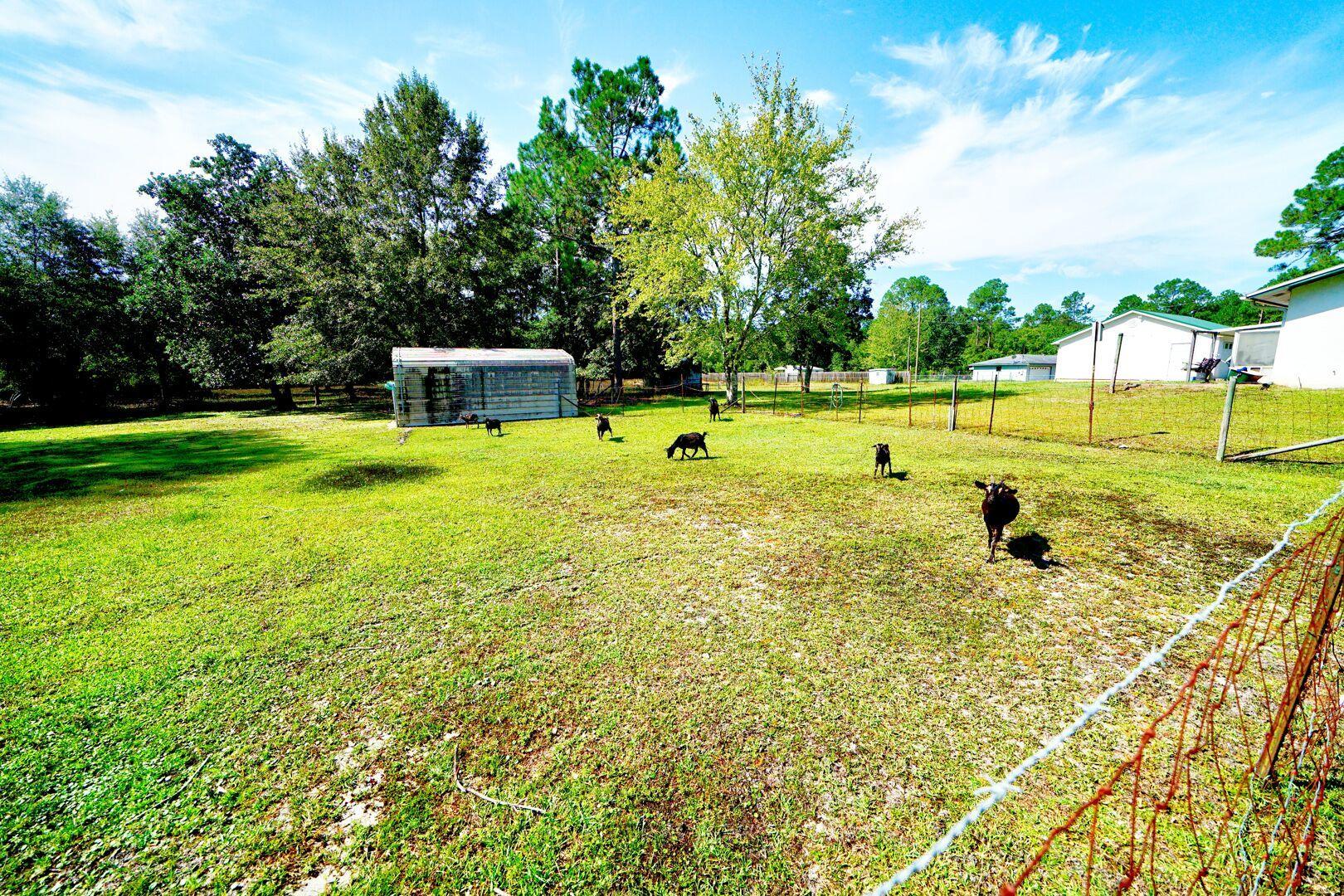 6808 Greenfield Road Youngstown, FL 32466 - Photo 3 of 14 Gallery Image 3