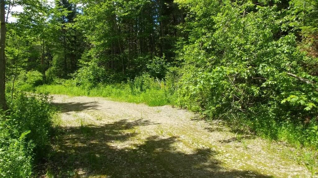 Off Jackins Settlement Road Orient, ME 04471 - Photo 25 of 25 Photo