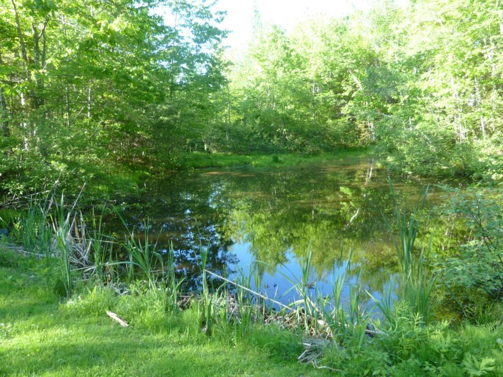 219 Hill Road West Bath, ME 04530 - Photo 34 of 35 Photo