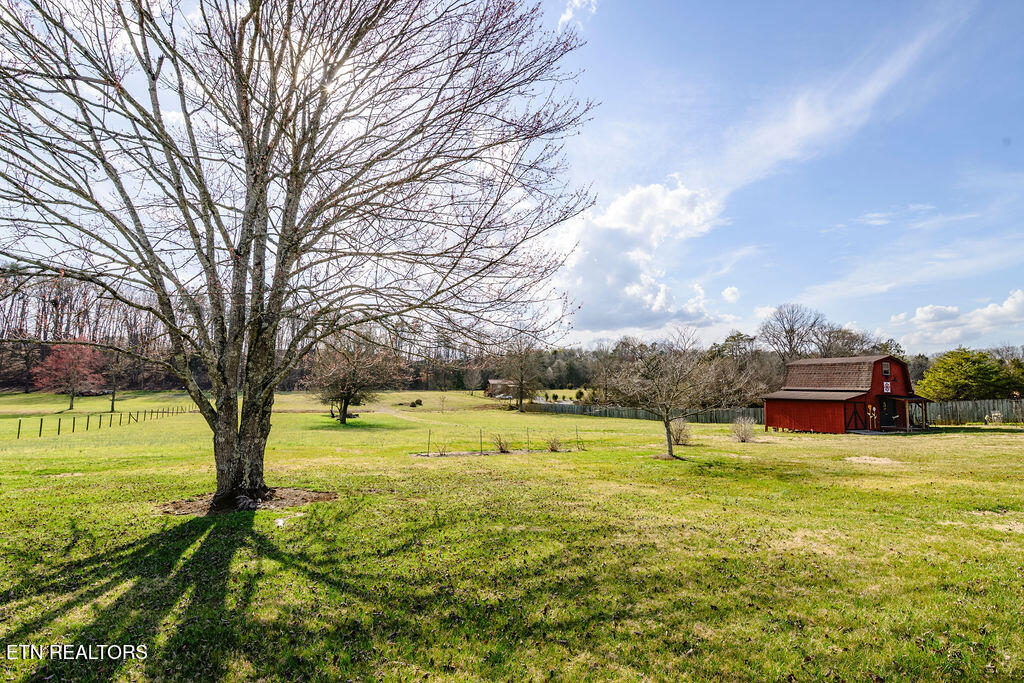 7631 Gibbs Road Corryton, TN 37721 - Photo 53 of 53 untitled-22