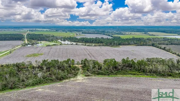 $1,790,000 | 15238 Turner Road, Metter, GA 30439