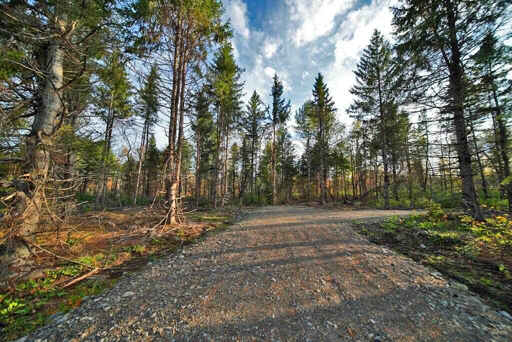 Lot 4 New Limerick Highlands Us 2 Route New Limerick, ME 04761 - Photo 20 of 24 new-new-limerick-house-lots