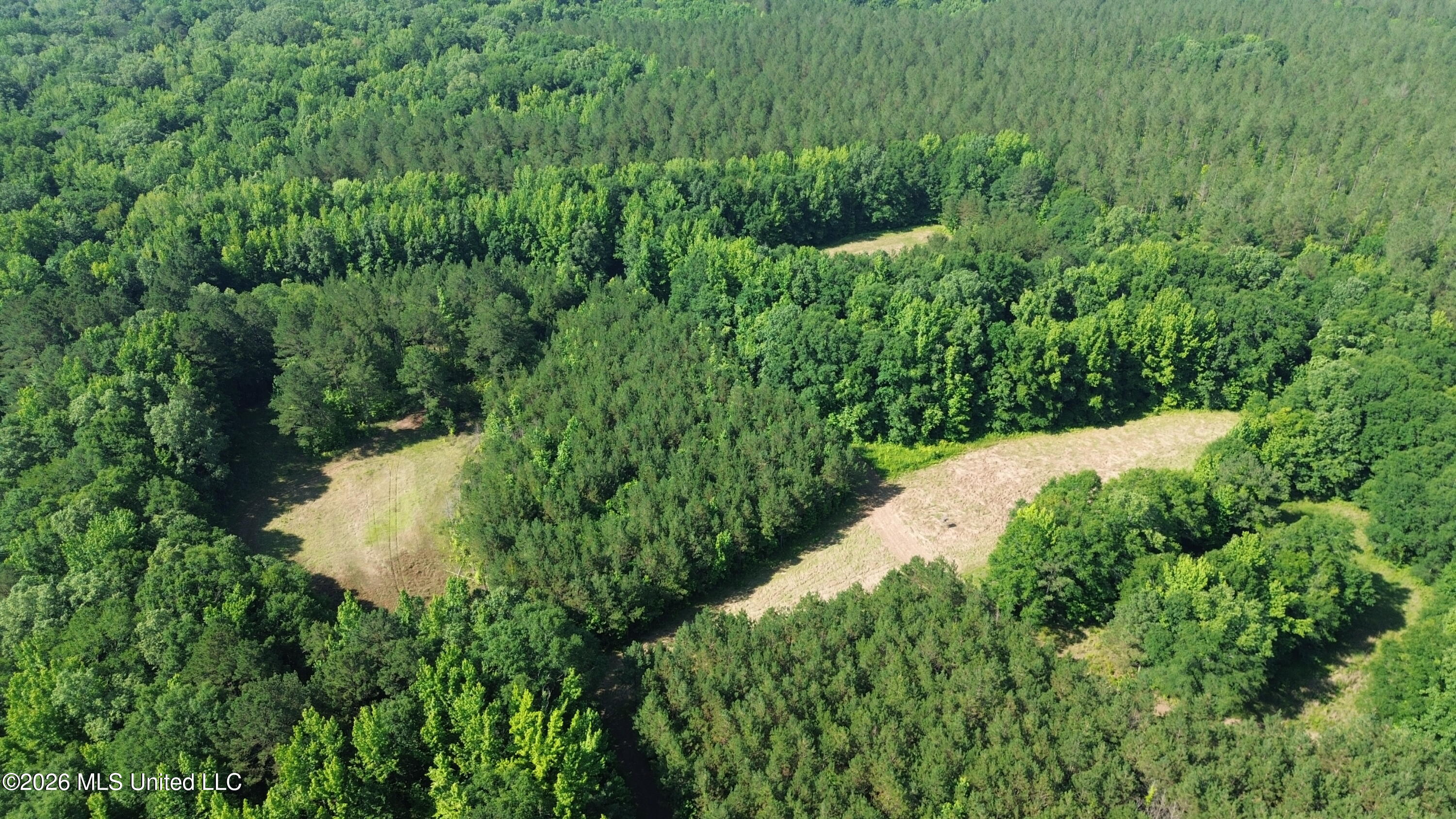 1359 Loring Rd Exd Camden, MS 39045 - Photo 40 of 91 DJI_0433