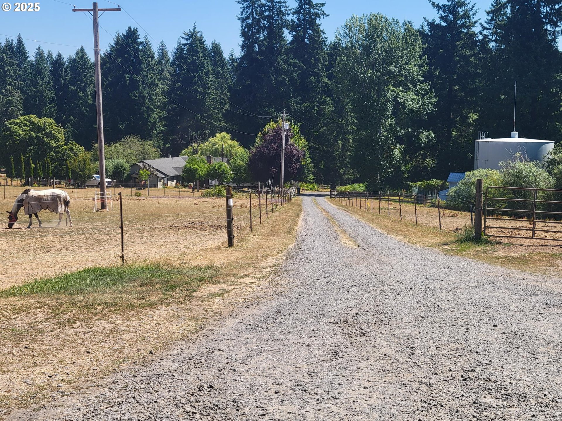 32650 Oester Road Warren, OR 97053 - Photo 13 of 43 a view of a yard with a slide