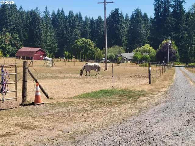 a swimming pool view
