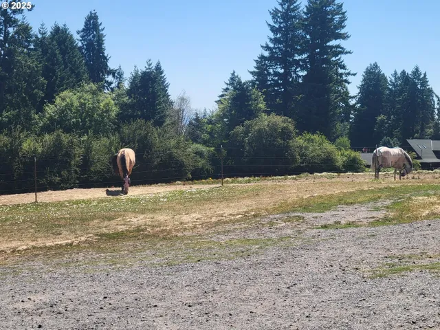 a view of a backyard of the house